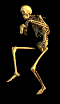 esqueleto-humor1.gif